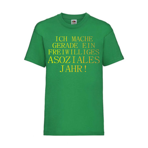 FREIWILLIGES ASOZIALES JAHR - FUN Shirt T-Shirt Fruit of the Loom Grün F0173