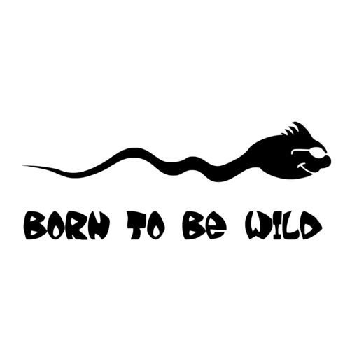 Born to be Wild - Fun Aufkleber Shocker Sticker Größe Klein 14 x 5,5 cm F0005