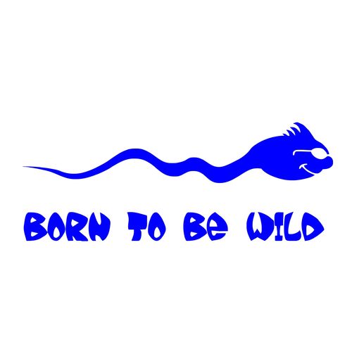 Born to be Wild - Fun Aufkleber Shocker Sticker Größe Mittel 25 x 10 cm F0005
