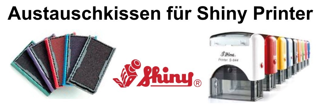 Shiny_Austauschkissen